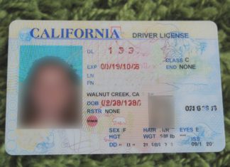 Driver License CA