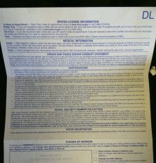 Renovar Driver License