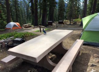 camping na california