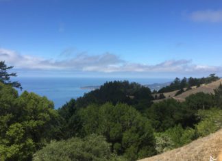 Mt Tamalpais