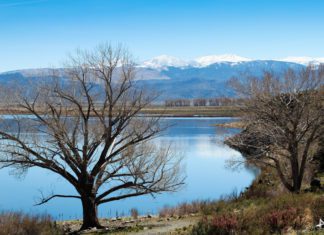 Highway 395
