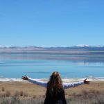 Wal Mono Lake