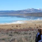 Mono Lake