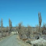 Estradas Mono Lake