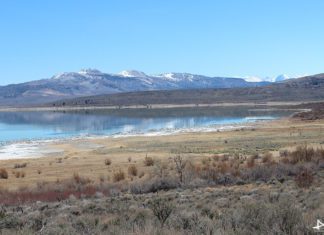 Mono Lake