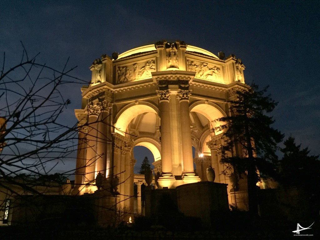 Palace of Fine Arts _at night 1