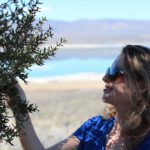 Mono Lake