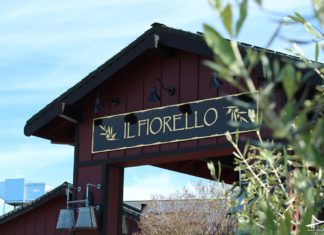 Tour e degustação de azeite de oliva - Il Fiorello