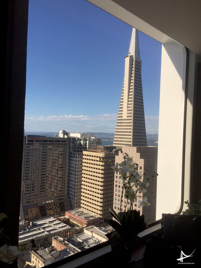 Transamerica da janela