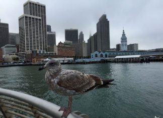 Pier 14 em San Francisco