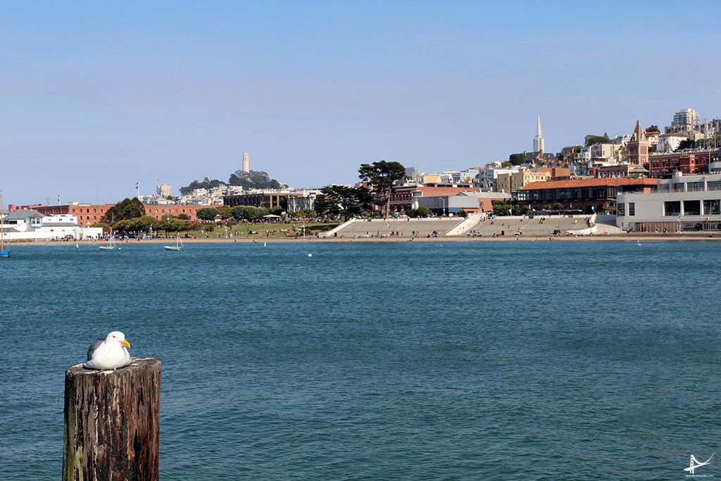 Vista de San Francisco do Pier Municipal