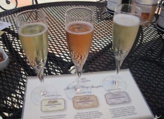Degustacao na Domaine Carneros