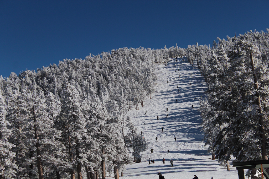 Equipamento de ski e snowboard em Heavenly