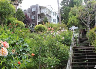 Napier Lane na Filbert Steps