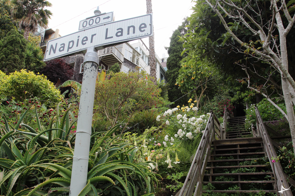 Napier Lane
