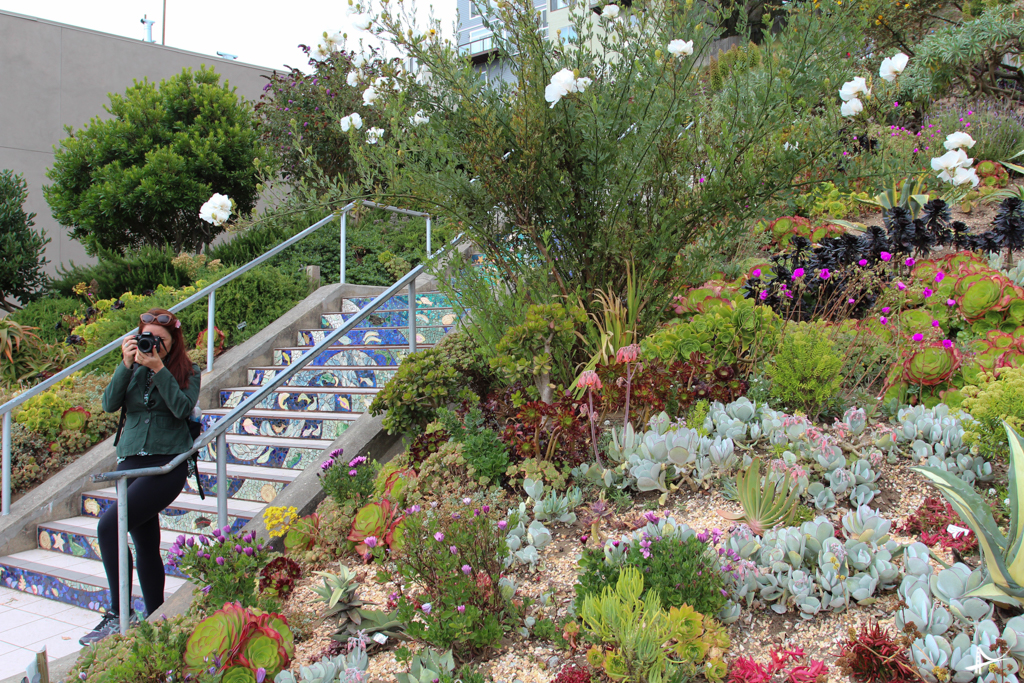 Jardins na Moraga steps