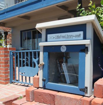 Mini bibliotecas