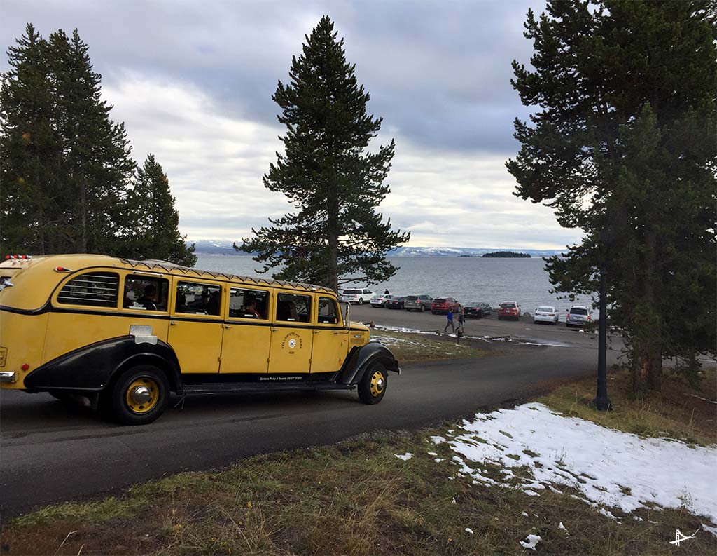Transporte no Yellowstone
