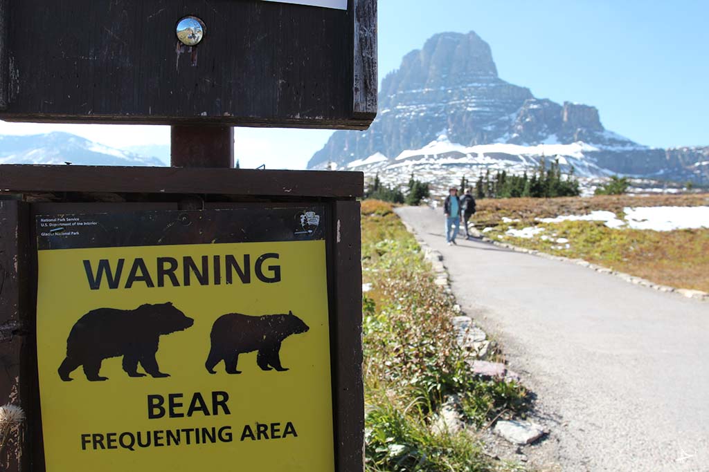 alerta de ursos no Glacier