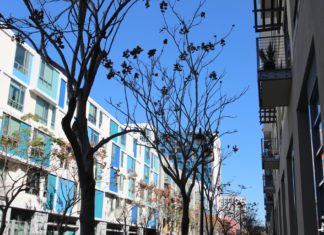 Onde ficar em San Francisco Haas Living