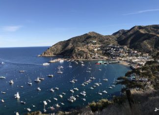 Como ir para Catalina Island