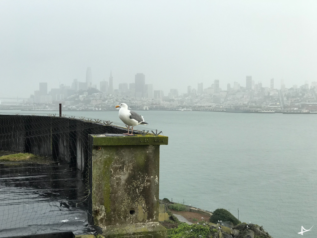 San Francisco vista da ilha num dia nublado
