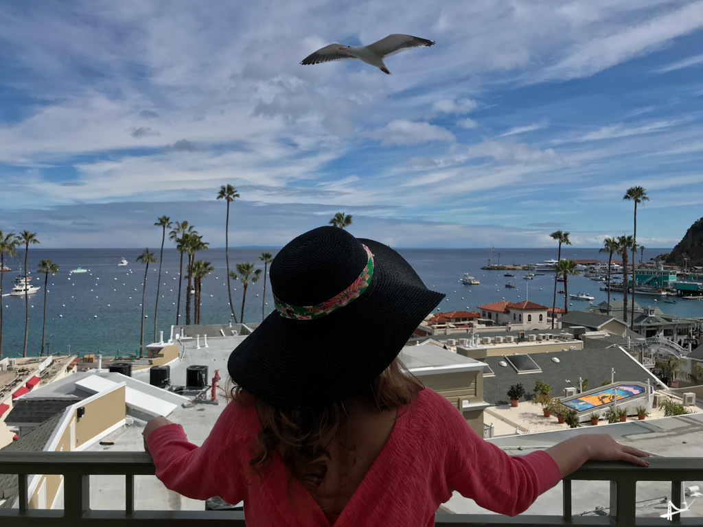 Vista da nossa varanda no The Avalon Hotel em Catalina Island