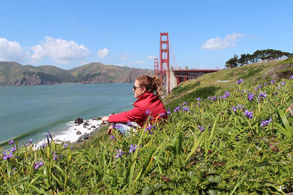 Vista da Golden Gate bridge do Pacific Overlook