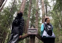 Muir Woods