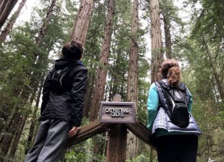 Muir Woods
