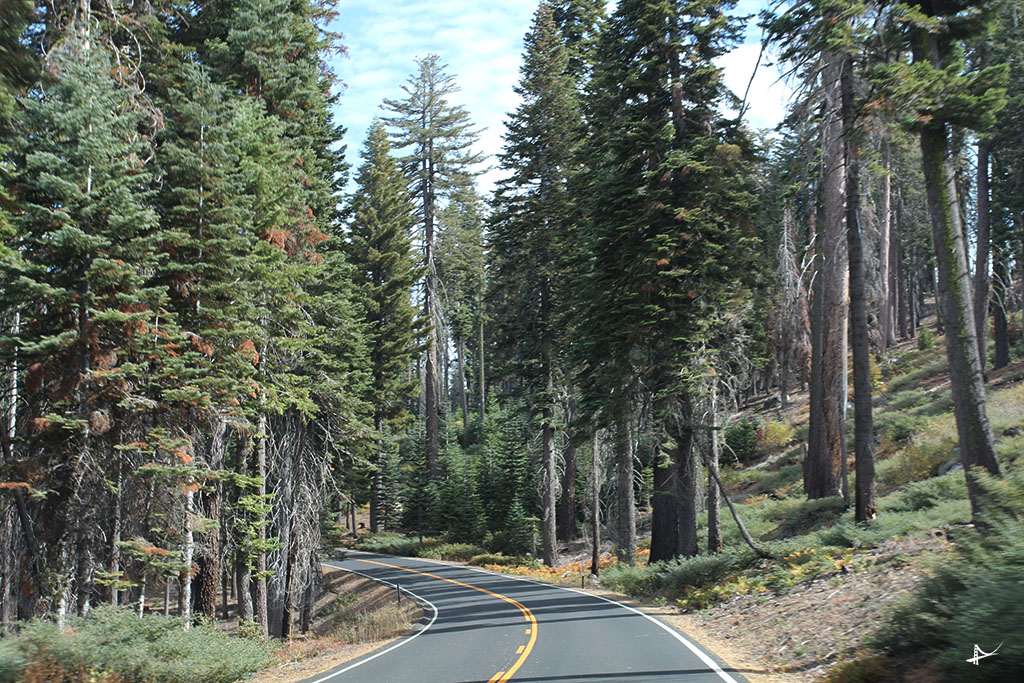 Estrada Tioga Pass