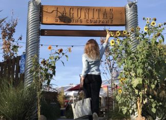 Tour na Lagunitas em Petaluma