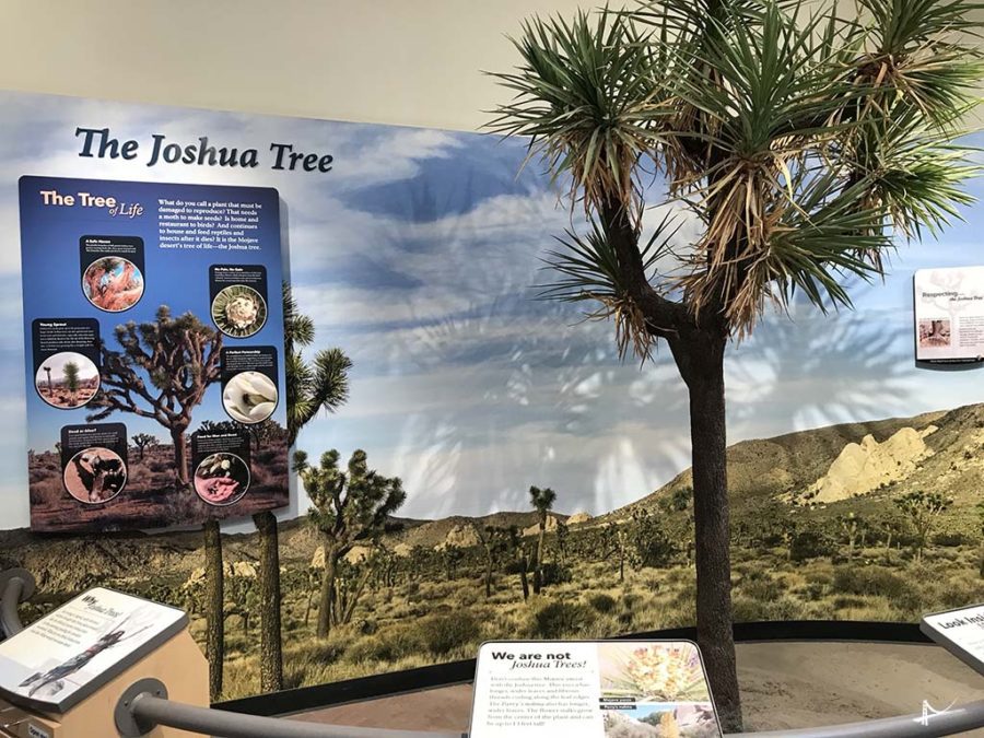 Visitor Center Joshua Tree