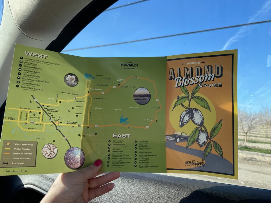 Mapa Almond Blossom