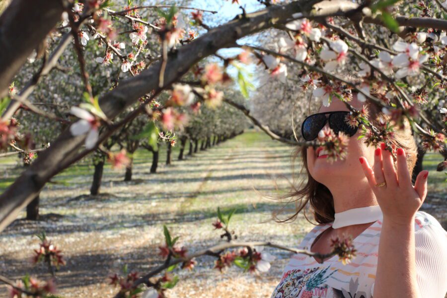 Almond Blossom em Modesto