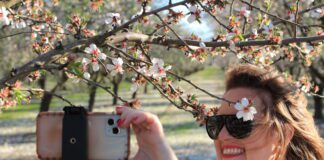Almond Blossom